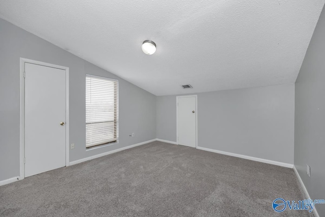 additional living space featuring carpet flooring, a textured ceiling, and lofted ceiling