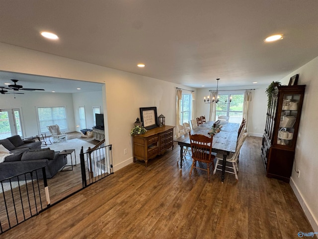 dining room with dark wood-type flooring, ceiling fan with notable chandelier, and a healthy amount of sunlight