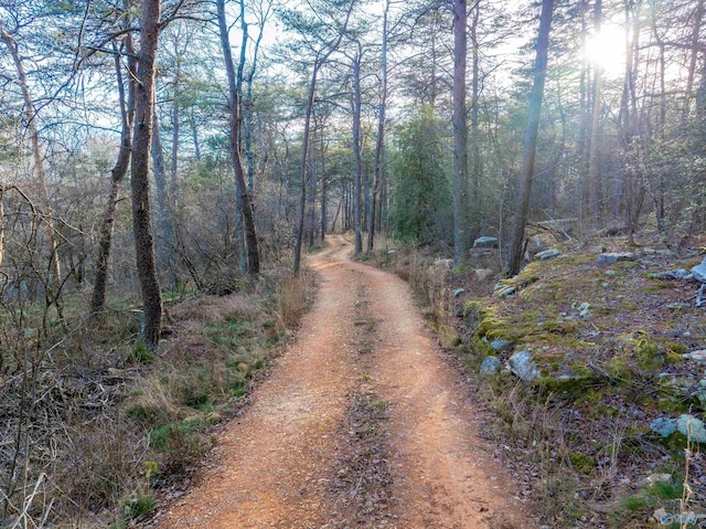 view of local wilderness