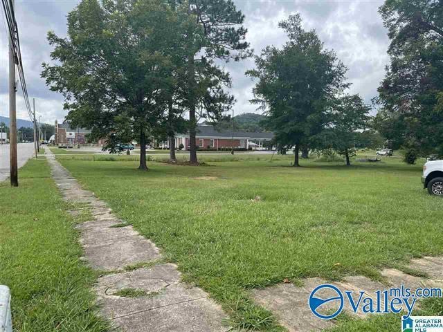 217 N Main St, Piedmont AL, 36272 land for sale