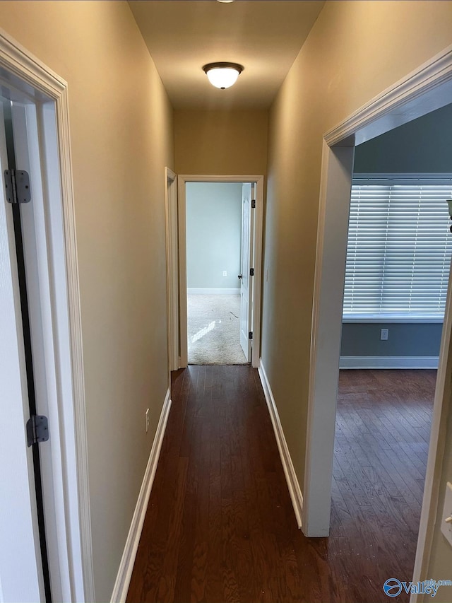 hallway with dark hardwood / wood-style flooring