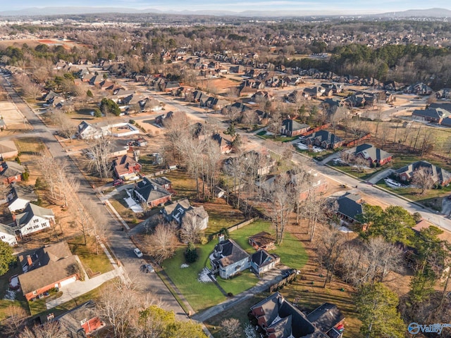 bird's eye view