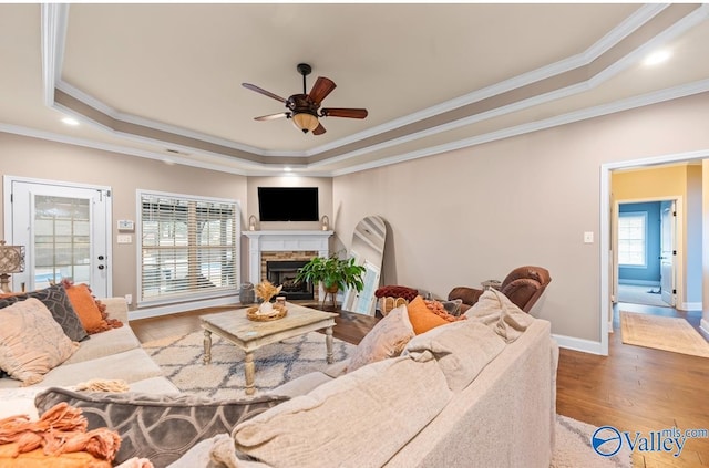 living room featuring a tray ceiling, wood finished floors, a fireplace, and ornamental molding