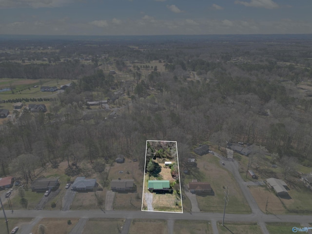 drone / aerial view