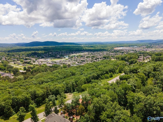 4631 Saddle Ridge Dr Lot 8, Owens Cross Roads, AL 35763