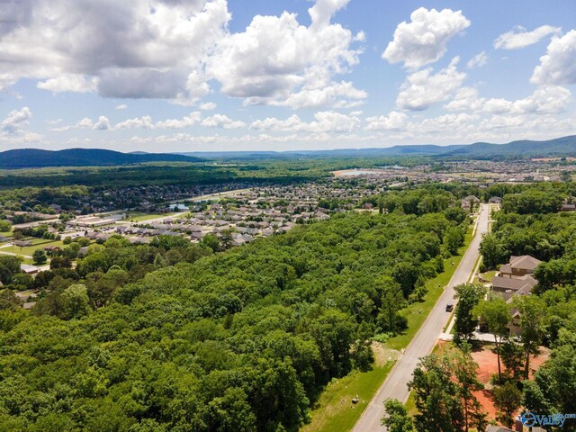 4631 Saddle Ridge Dr Lot 8, Owens Cross Roads, AL 35763