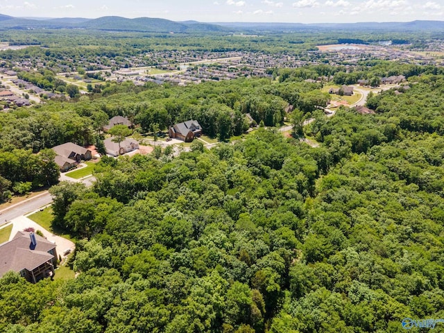 4631 Saddle Ridge Dr Lot 8, Owens Cross Roads, AL 35763