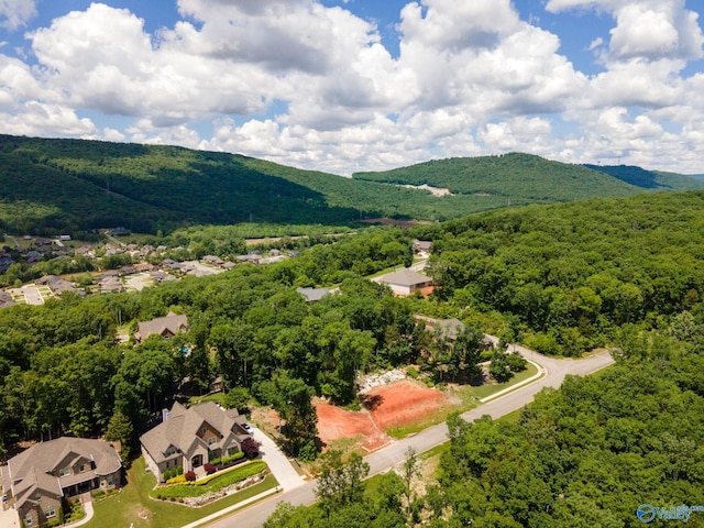 4631 Saddle Ridge Dr Lot 8, Owens Cross Roads, AL 35763