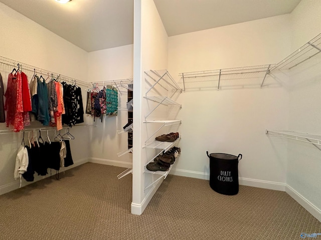 6901 Ridge Pointe Dr SE, Owens Cross Roads, AL 35763 - spacious closet with carpet