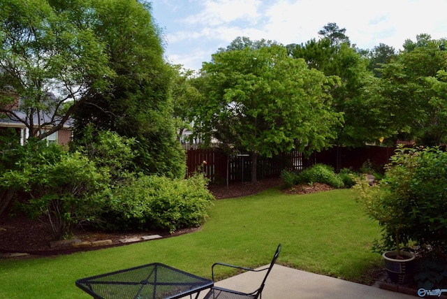 6901 Ridge Pointe Dr SE, Owens Cross Roads, AL 35763 - view of yard with a patio area