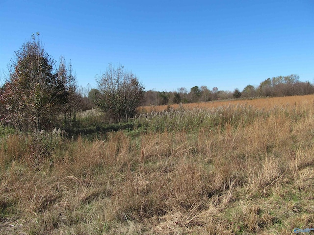 8.8 Rice Mill Rd, Albertville AL, 35951 land for sale