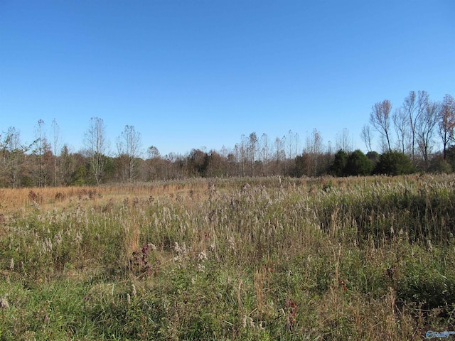 Listing photo 2 for 8.8 Rice Mill Rd, Albertville AL 35951