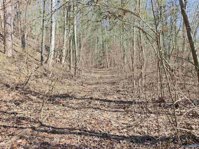 Listing photo 2 for 13.3ACRES County Road 261, Town Creek AL 35672