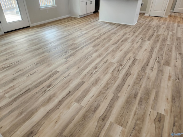 details with baseboards and wood finished floors