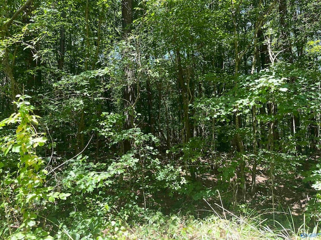 Listing photo 2 for 23ACRES Tanglewood Trl, Hokes Bluff AL 35903