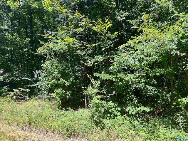 Listing photo 3 for 23ACRES Tanglewood Trl, Hokes Bluff AL 35903