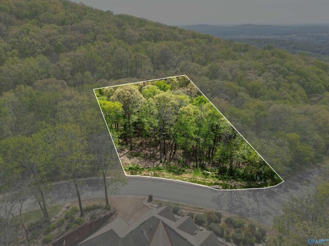 1298 Castlegate Blvd, Huntsville, AL 35801