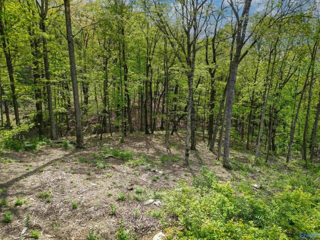 1298 Castlegate Blvd, Huntsville, AL 35801