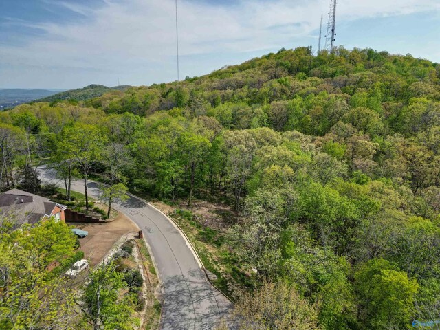 1298 Castlegate Blvd, Huntsville, AL 35801