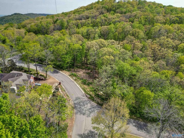 1298 Castlegate Blvd, Huntsville, AL 35801