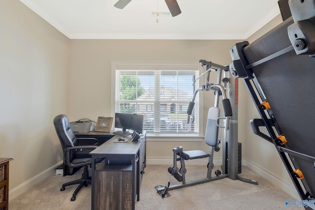 carpeted office with ornamental molding and ceiling fan