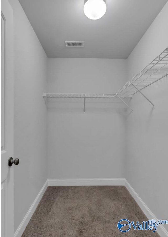 walk in closet with carpet