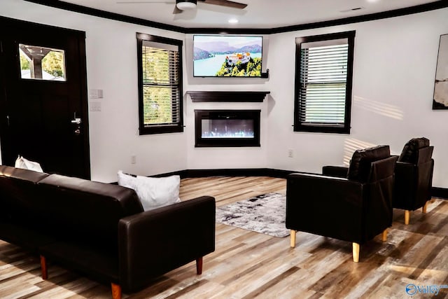 living room featuring crown molding, hardwood / wood-style floors, and ceiling fan