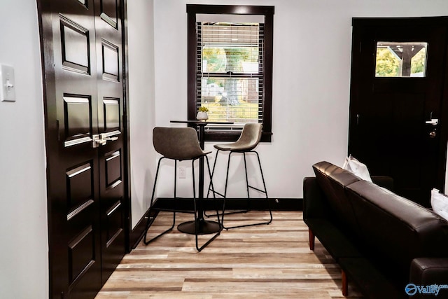 foyer entrance featuring light wood-type flooring and a healthy amount of sunlight