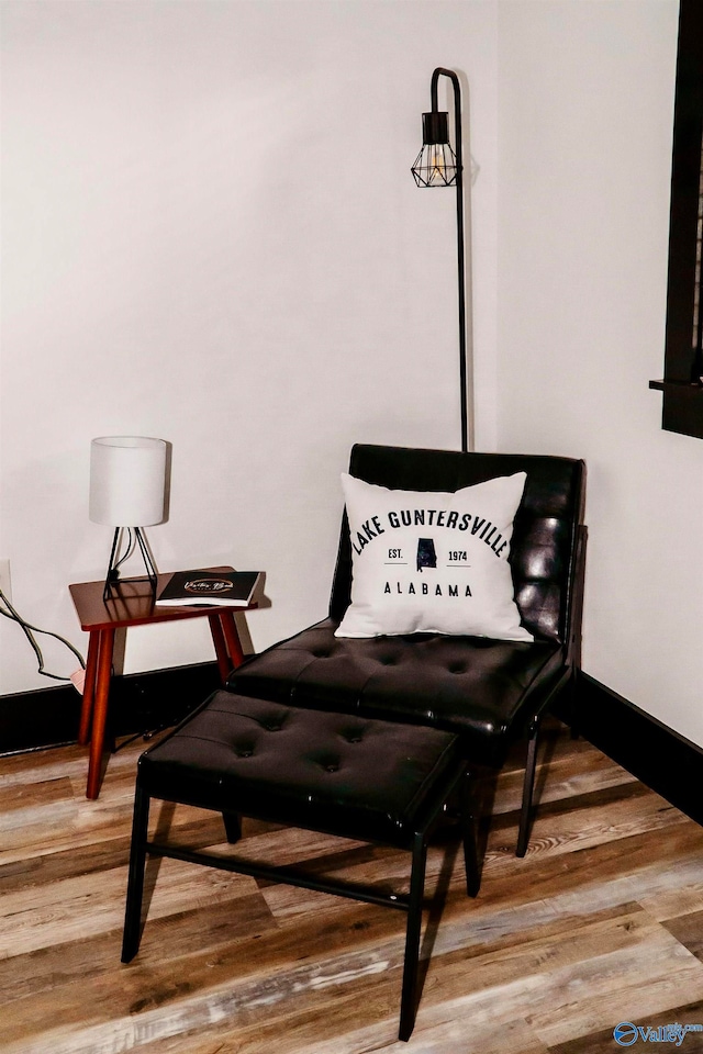 living area featuring wood-type flooring