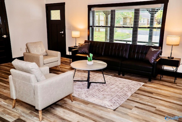 living room with hardwood / wood-style flooring