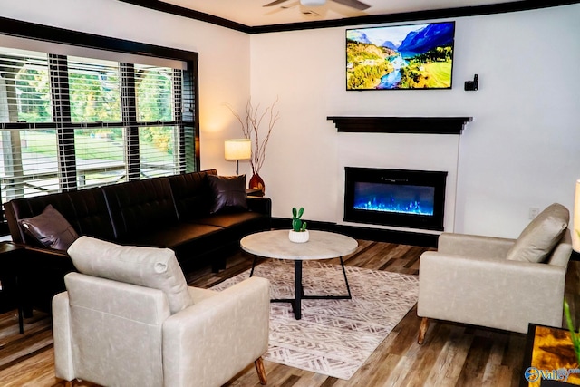 living room featuring ceiling fan, crown molding, and wood-type flooring