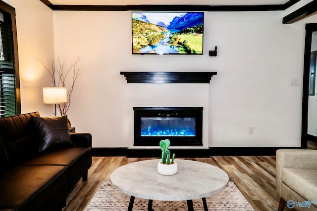 living room with hardwood / wood-style flooring