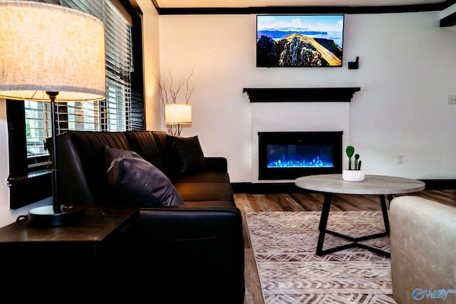 living room with hardwood / wood-style flooring