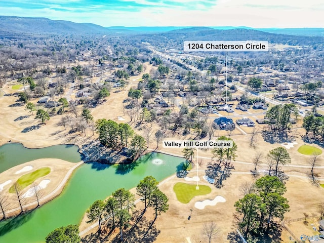 drone / aerial view featuring a mountain view