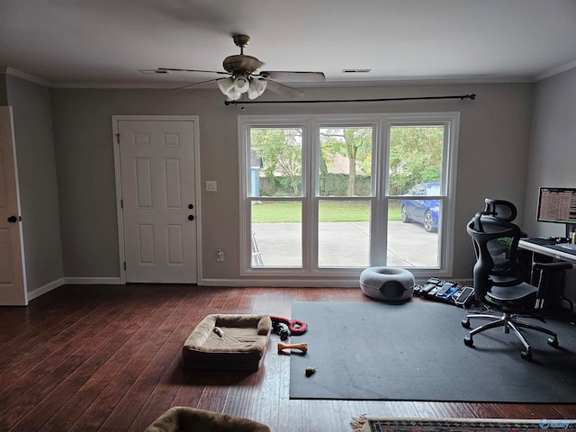 exercise area featuring ceiling fan, ornamental molding, and hardwood / wood-style floors