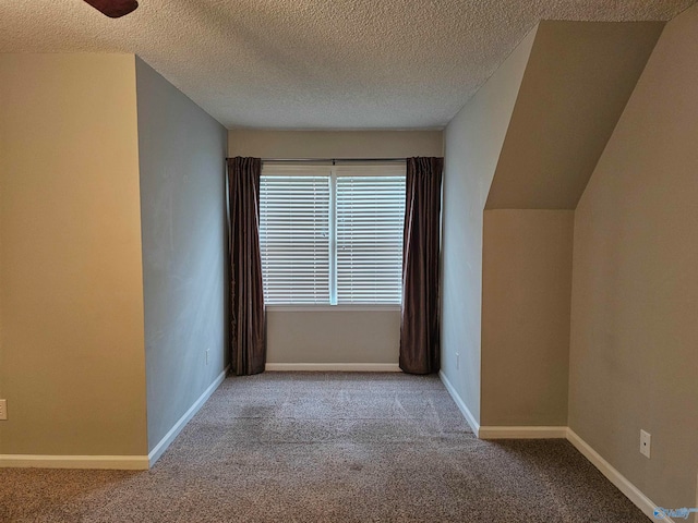 additional living space featuring a textured ceiling, light colored carpet, and vaulted ceiling