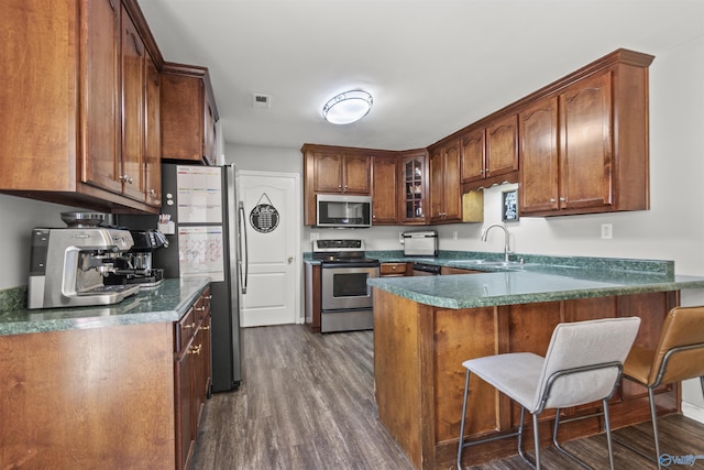 kitchen with a sink, a peninsula, appliances with stainless steel finishes, and dark wood finished floors