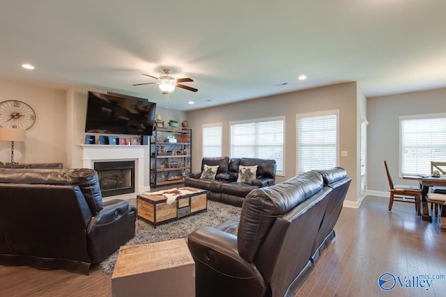 living area featuring a fireplace, wood finished floors, and recessed lighting