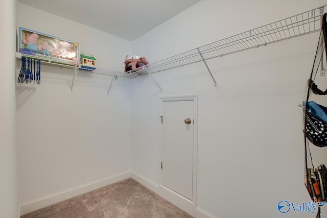 spacious closet featuring light carpet