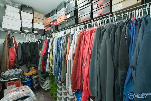 view of walk in closet