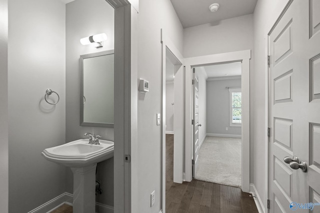 bathroom with hardwood / wood-style flooring