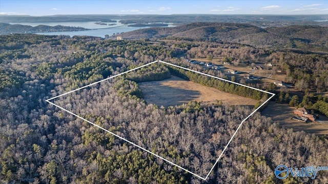 25ACRES Winding Brook Dr, Guntersville AL, 35976 land for sale