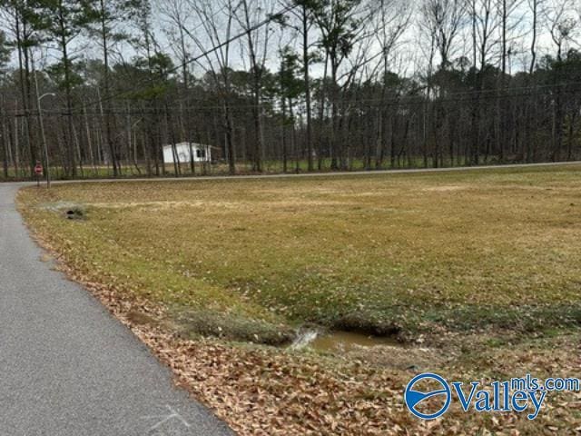 Listing photo 2 for 0.05 E Swindall Cir, Rainbow City AL 35906