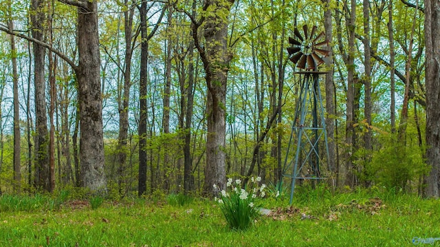 view of local wilderness featuring a wooded view