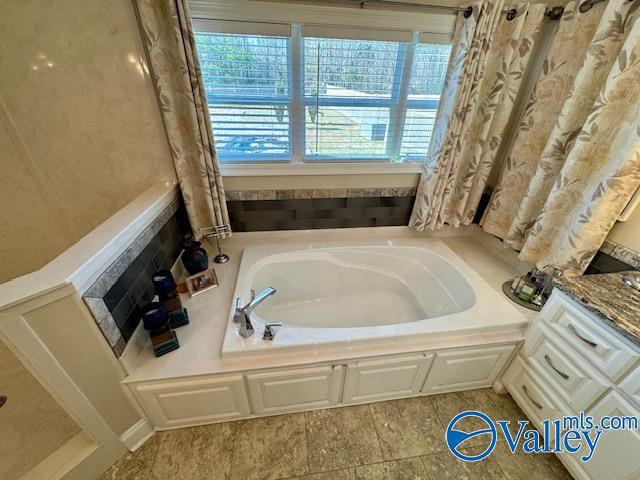 bathroom featuring a washtub