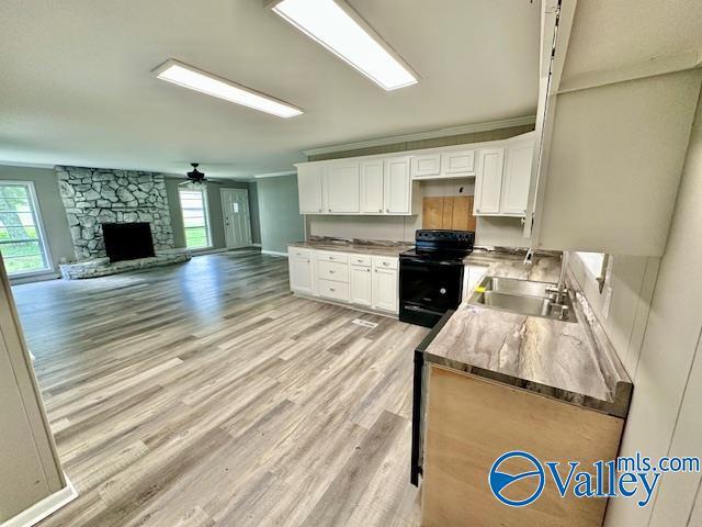 196 Johnson St, Rainsville, AL 35986 - kitchen with electric range, crown molding, healthy amount of natural light, a sink, and white cabinetry
