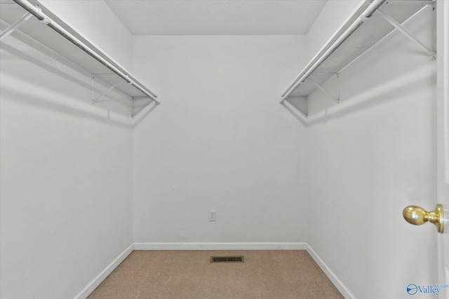 walk in closet with carpet flooring