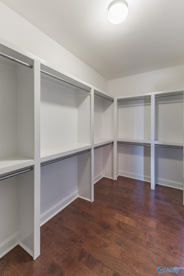 spacious closet with dark hardwood / wood-style floors