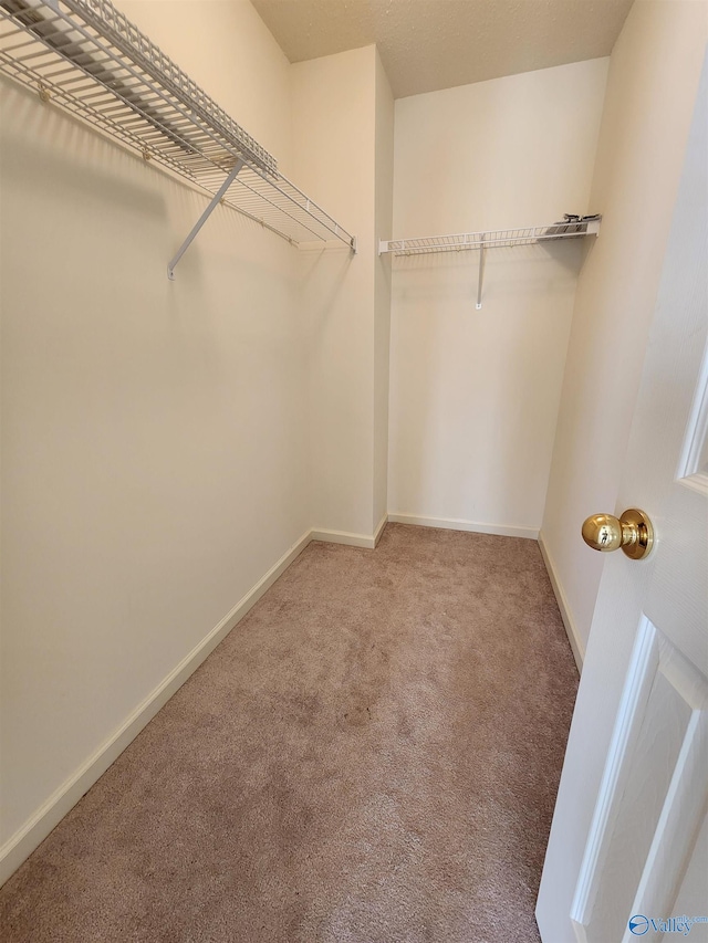 walk in closet featuring carpet