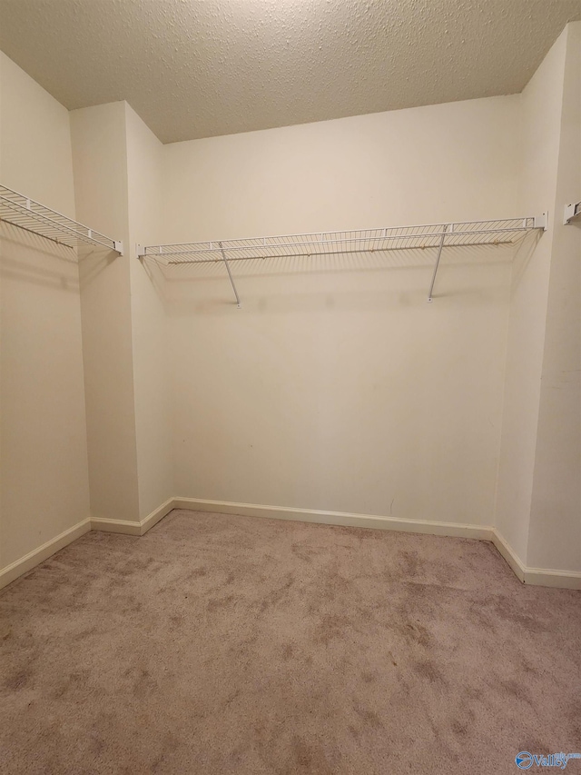 spacious closet featuring light carpet